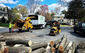 Best Lawn Watering Services  in Ocean Pines, MD