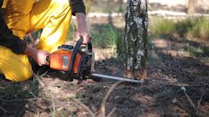 Best Weed Control  in Ocean Pines, MD