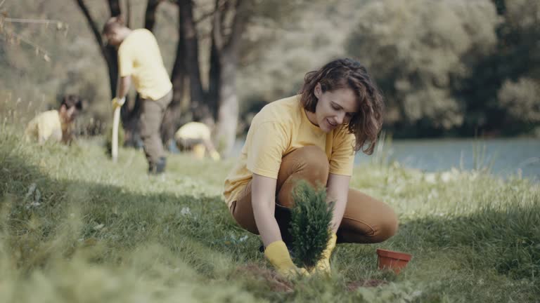 Best Root Management and Removal  in Ocean Pines, MD
